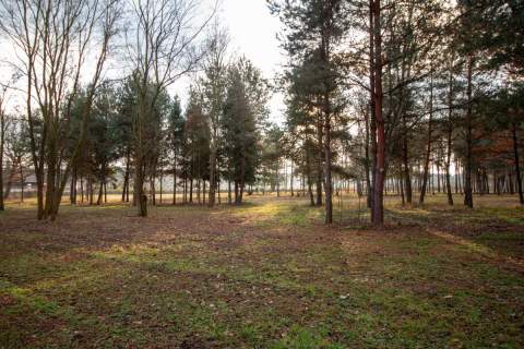 Działka budowlana Koszęcin ul. Słowików 880m2