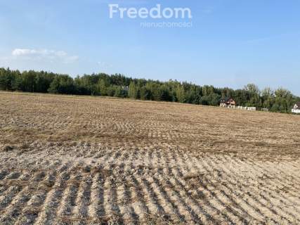 Duża działka w Cichocinie w atrakcyjnej cenie
