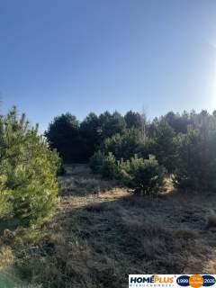 Idealne miejsce na dom,6241 m blisko lasu i rzeki