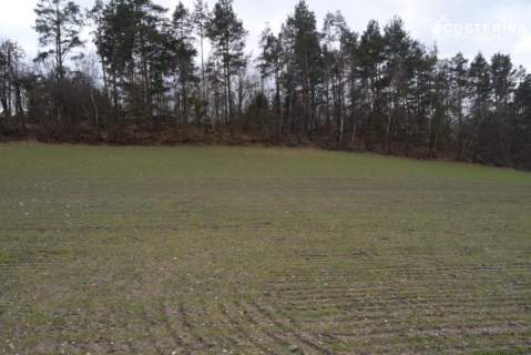 Działka z dostępem do Jeziora Polaszkowskiego 5000 m2 natury...