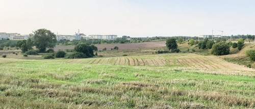 Ul. Różana, Suwałki - działka rolna o powierzchni 2,0277 ha