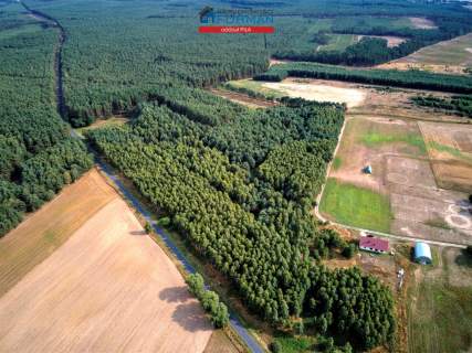 Działka na sprzedaż, 3118 m2, Łomnica