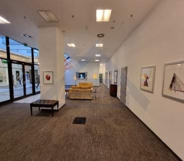 PRESIDENTIAL Lokal usługowy na wynajem w Centrum