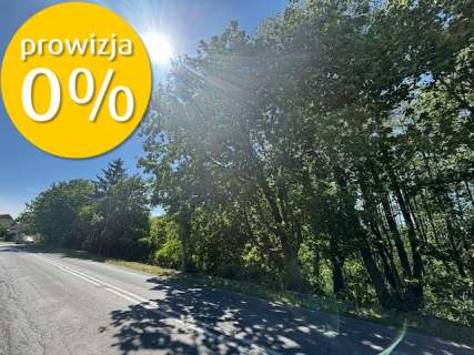 Dwie działki koło Borów Tucholskich