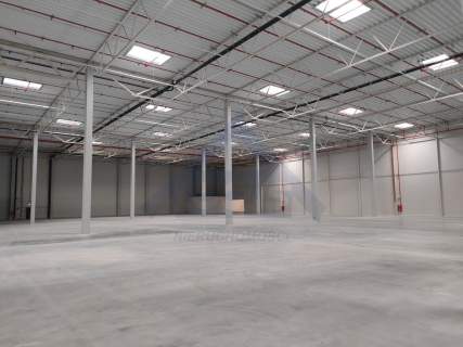 Błonie 11000m2