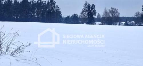 działka przemysłowo-usługowa Wielki Klincz