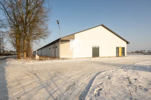 Supermarket, Dyskont przy zjeździe S3, 280-980 mkw