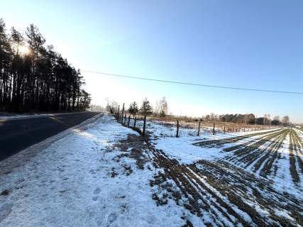 Działka na sprzedaż, 12434 m2, Barłogi