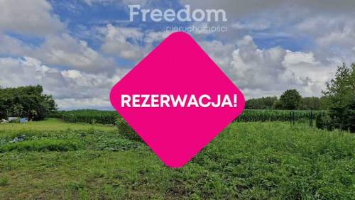 Działka 5 710 m przestrzeń i natura