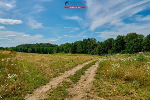 Działka rekreacyjna na sprzedaż, 803 m2, Łąkie