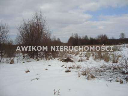 Działka rolna na sprzedaż, 41500 m2, Kaleń-Towarzystwo