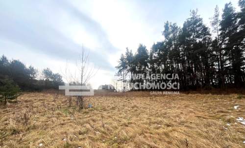 Smołdzino działka 5216 m kw z dobrym dojazdem.