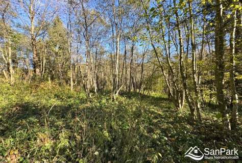 Działka Krzywe - przestrzeń i natura Bieszczad