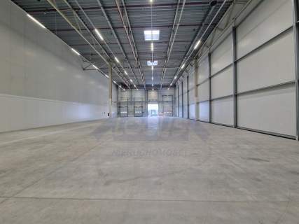 Żerań powierzchnia magazynowo- biurowa 1204m2