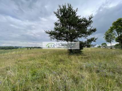Nowa Wieś Przywidzka- dz. z panoramicznym widokiem
