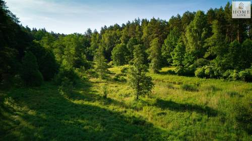 Działka nad jeziorem z lasem, stawem i domem