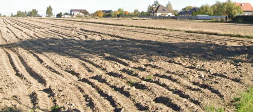 Działka budowlana na planie zagosp. o pow. 1100m2, Kalisz