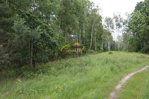 Działka Pod Zabudowę Bliźniaczą 5600 m 