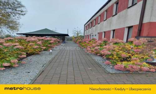 Nieruchomość komercyjna na sprzedaż, 645,5 m2, Golęczewo