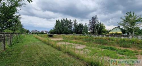 Duża działka usługowa 6000m2 w Grezów 