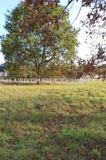 Działka budowlana na sprzedaż, 1135 m2, Budy-Grzybek
