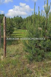 Działka budowlana na sprzedaż, 1504 m2, Stare Budy