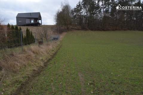 Działka z dostępem do Jeziora Polaszkowskiego 5000 m2 natury...