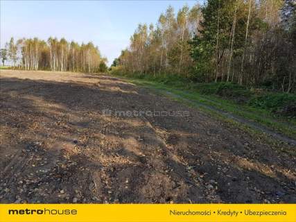 Na sprzedaż działka 3700 m2 w spokojnej okolicy.