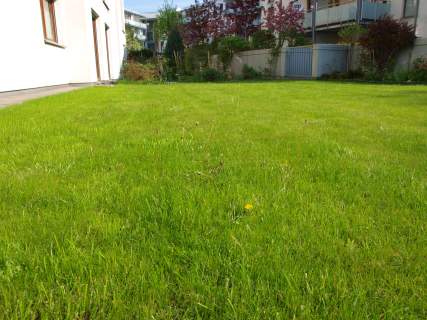 Bezp.,3-pok, w pełni wyposażone, z d. tarasem i ogród. 320m2