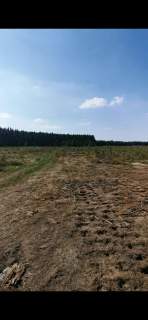 Miłogostowice działka inwestycyjną o powierzchni 19,64 Ha