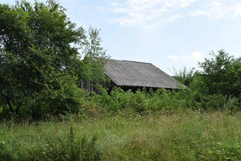 Działka 21a pod rekreację- Wesoła