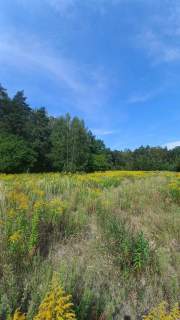 Unikat/Kampinos/glamping/budowlana/metro22km/CPK20km-Bezpośr