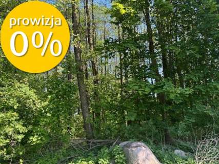 Dwie działki koło Borów Tucholskich