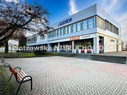 Biuro do wynajęcia, 300 m2, Zduńska Wola