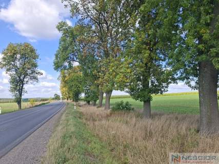 Działka inwestycyjna Suchożebry przy DK63 