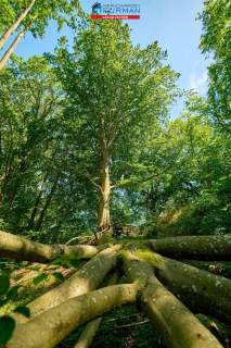 Działka rekreacyjna na sprzedaż, 803 m2, Łąkie