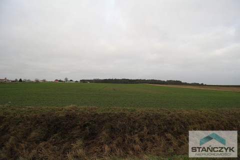 Działka 4600m2 Ładzin