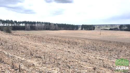 Kołaczkowo Skórzewo 1158m2 jeziora las woda