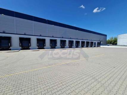 Magazyn wysokiego składowania 2500m2 Ołtarzew