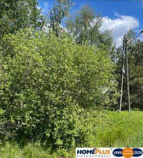 Na sprzedaż działka w Radzyminie 2000 m