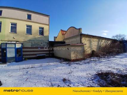 Lokal usługowy na wynajem