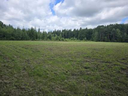 Działka budowlana na sprzedaż, 7250 m2, Dąbrowa Górnicza