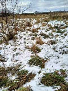 Działka 2240 m2,Kliniska Wielkie, gm. Goleniów