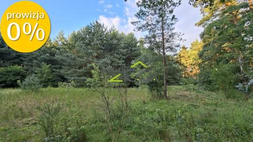 Działka 7206m2 z warunkami zabudowy, Zielona Góra