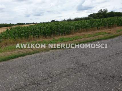 Działka budowlana na sprzedaż, 2000 m2, Cegłów