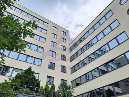 Do wynajęcia powierzchnia biurowa w Centrum