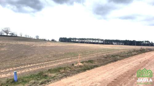 Kołaczkowo Skórzewo 1466m2 jeziora las woda