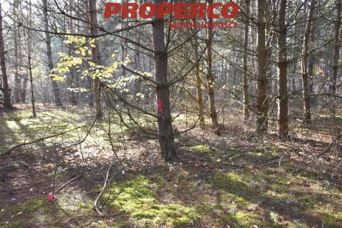 Działka rekreacyjna 505m2, Pągowiec, zalew Chańcza