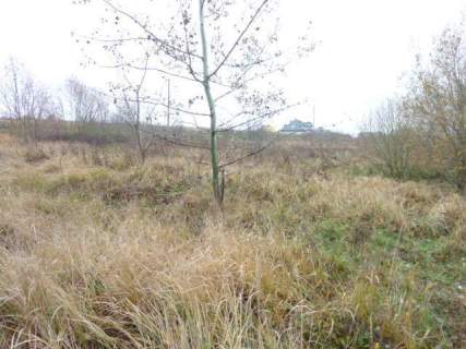DZIAŁKA 1148 M2,GM.DOBRA