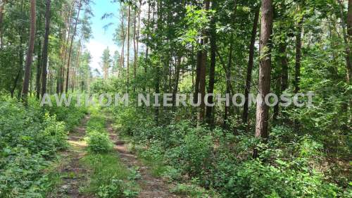 Działka leśna na sprzedaż, 11500 m2, Siestrzeń